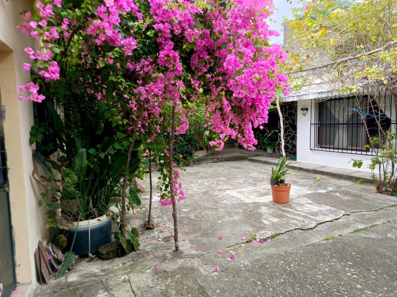 Posada Familiar Papantla Екстер'єр фото